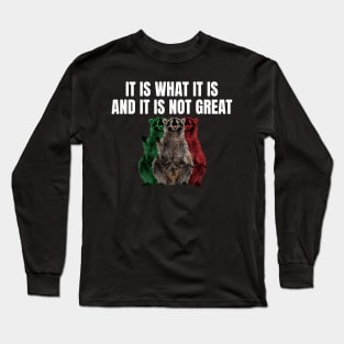 It Is What It Is And It Is Not Great Funny Raccoon Long Sleeve T-Shirt